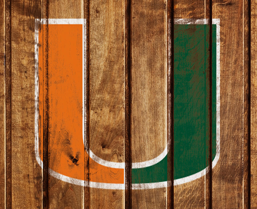 The Miami Hurricanes  Mixed Media by Brian Reaves