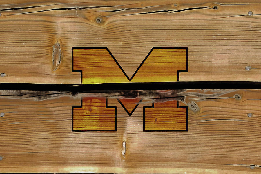 The Michigan Wolverines 1a Mixed Media by Brian Reaves