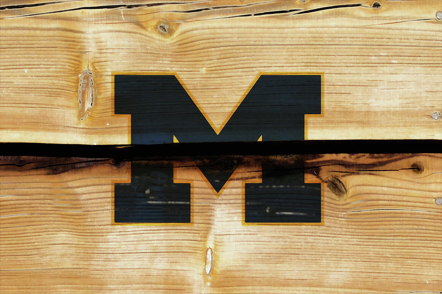 The Michigan Wolverines  Mixed Media by Brian Reaves
