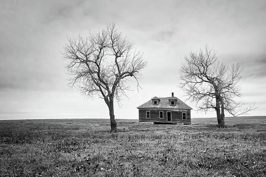 The Middle of Nowhere BW Photograph by Penny Meyers
