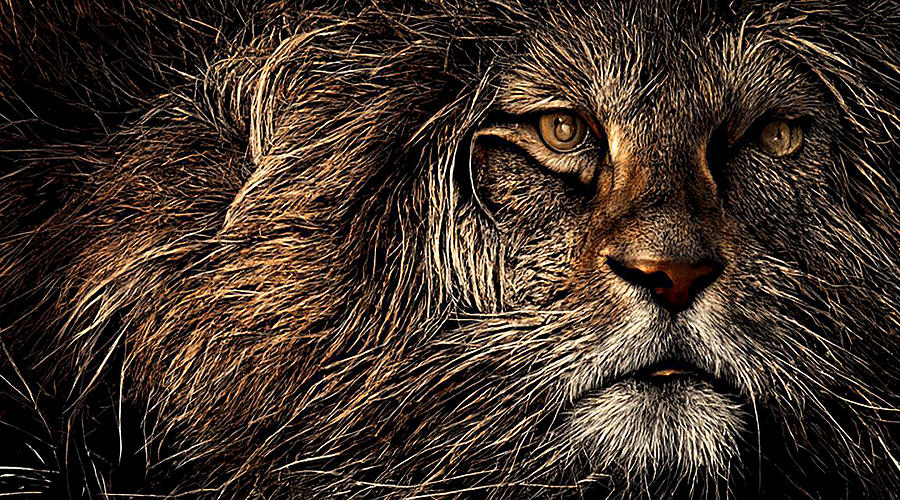 The Mighty Lion Digital Art by Debra Kewley