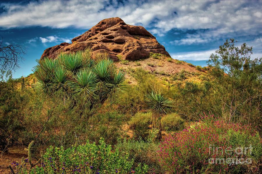 The Mighty Papago Photograph by Jon Burch Photography