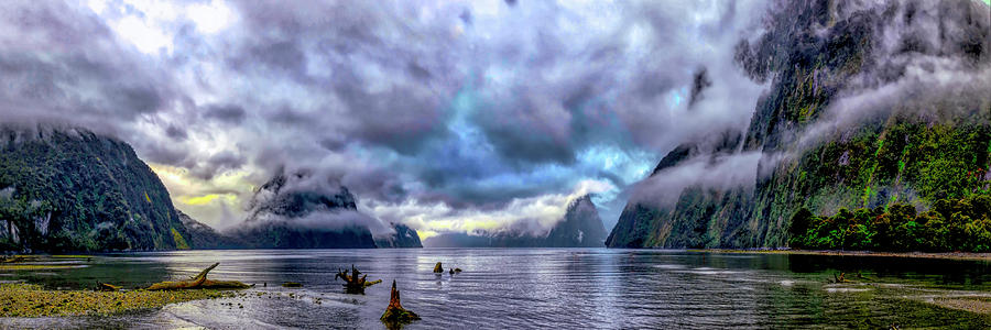 The Milford Sound fiord. New Zealands Fiordland national park Photograph by OLena Art