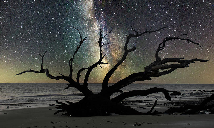 The Milky Way Photograph by Karen Cox