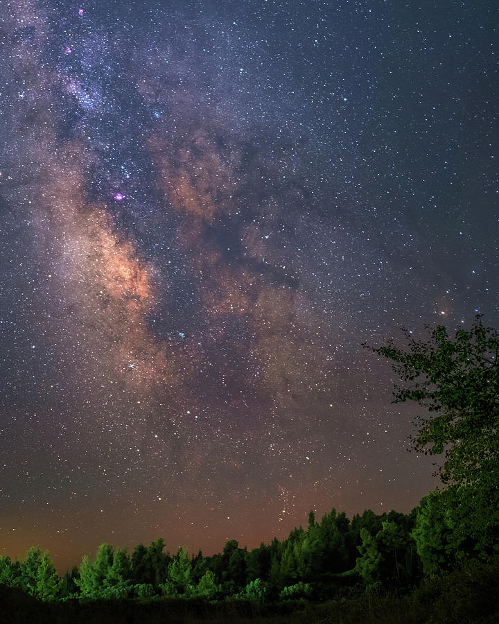 The Milky Way Over A Forest Photograph by Alexios Ntounas