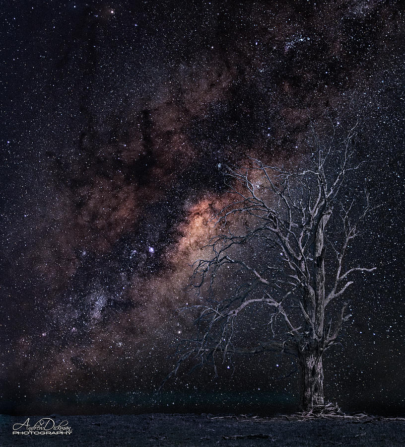 Milky Way Photograph - The Milkyway by Andrew Dickman