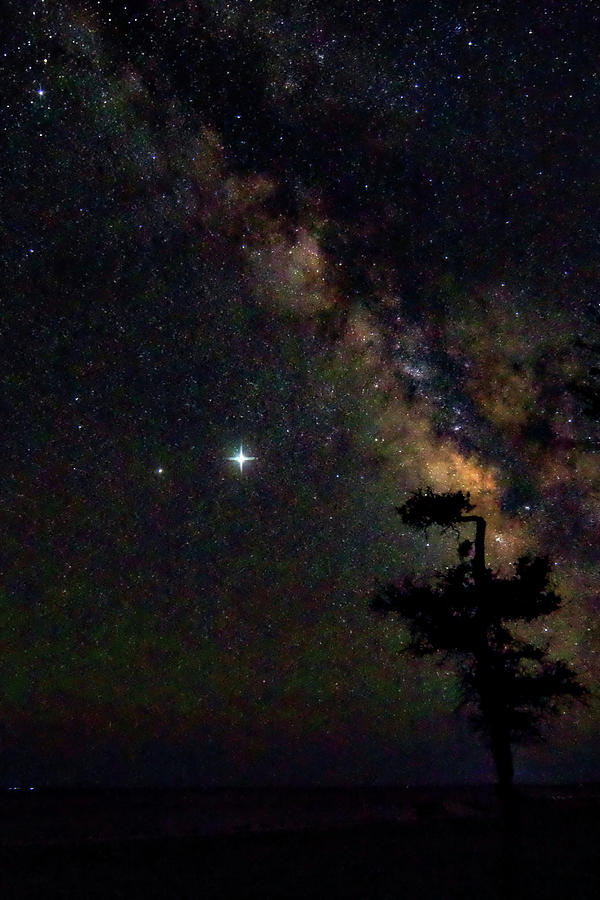The Milkyway Behind a Lone Tree on the North Carolina Coast Photograph by Bob Decker