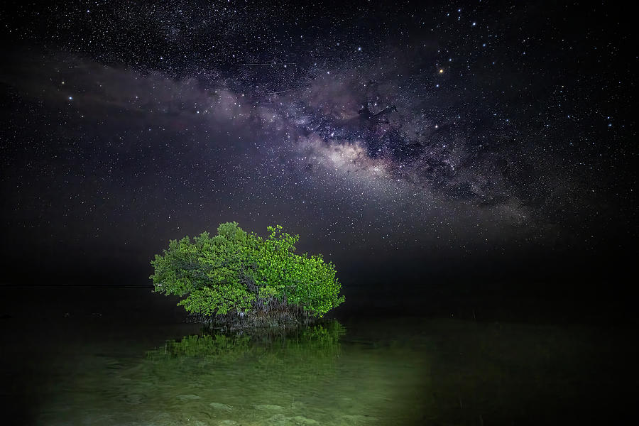 The Milkyway off the coast of the Florida Keys. Photograph by Lee Smith