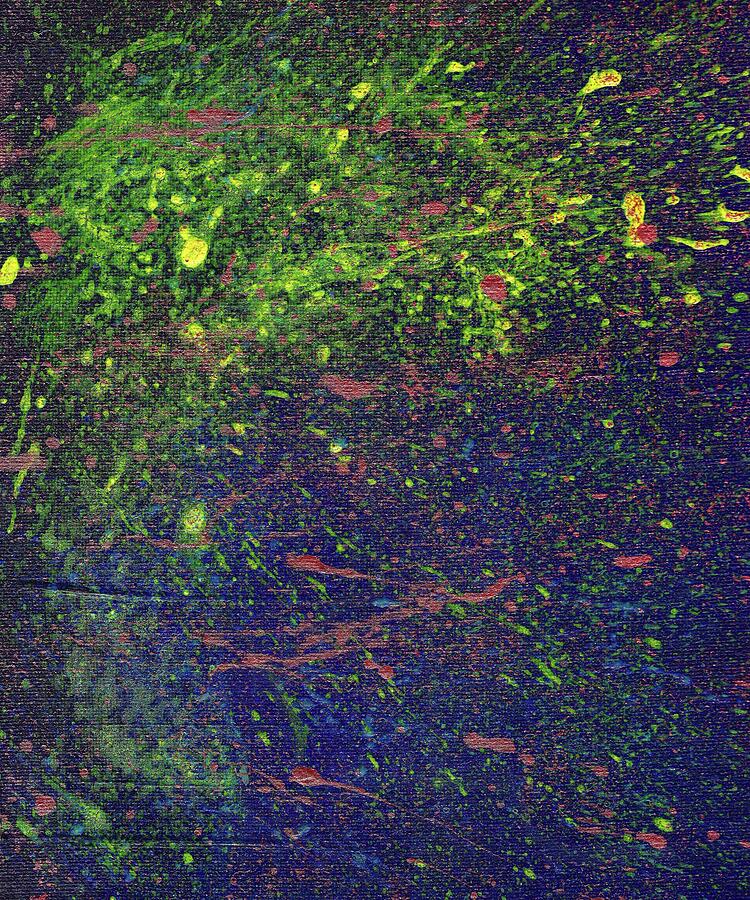 The Minds Symphony - Hypervigilance Splatter Painting Painting by Annalisa Rivera-Franz The Minds Symphony - Hypervigilance Splatter Painting Painting by Annalisa Rivera-Franz