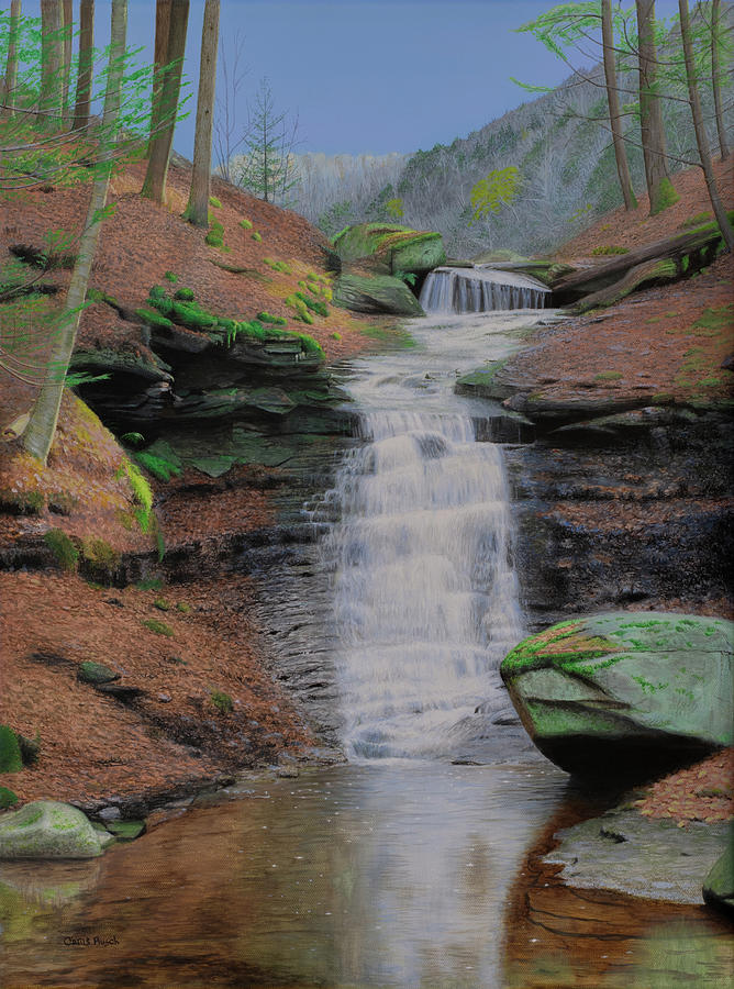 The Mineral Springs Falls Painting by Chris Busch