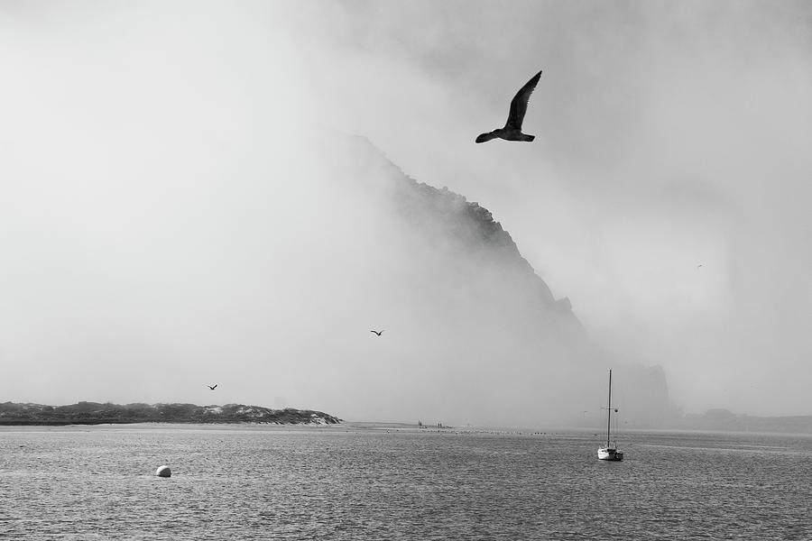 The Mist Photograph by Gina Cinardo