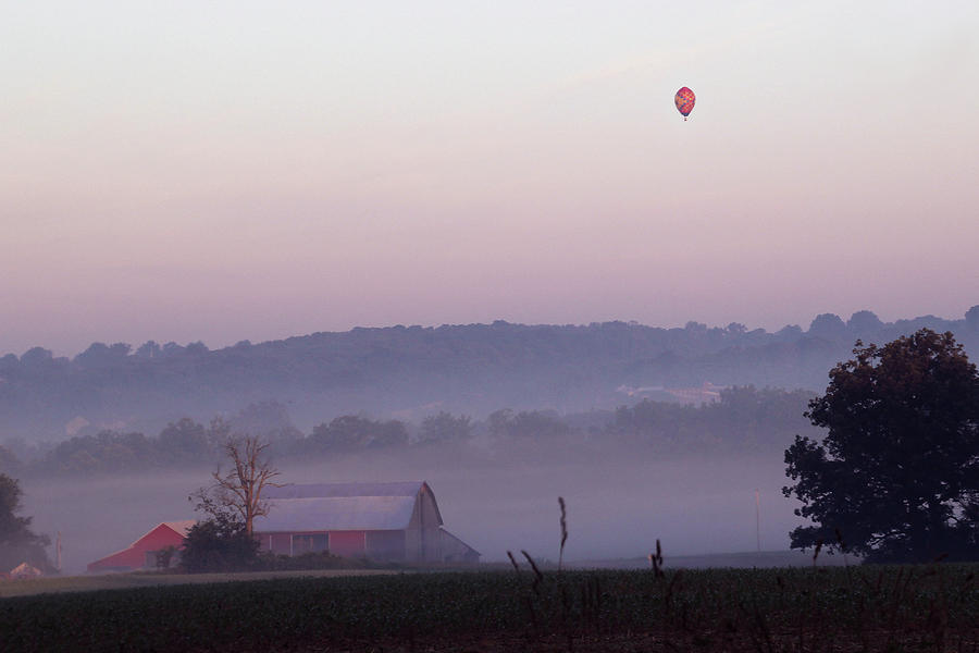 The Misty Morning Flight Photograph by Linda Goodman