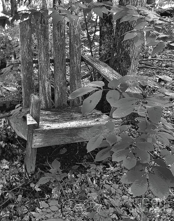 The Moaning Chair Photograph by Diane E Berry