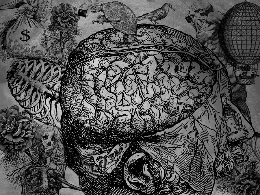 The Modern Mind Digital Art by Ally White