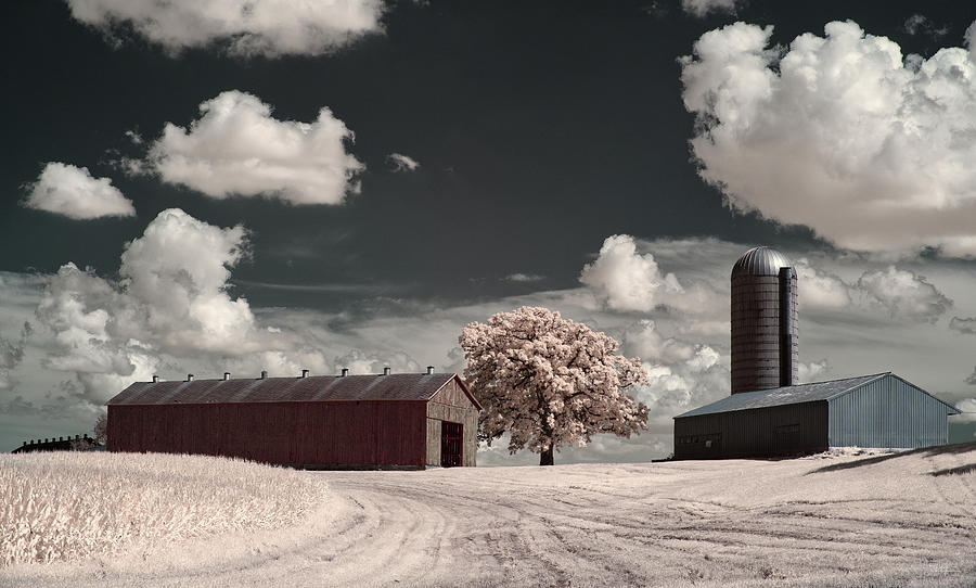The Moe Farm tobacco shed, oak and silo near Stoughton WI  Photograph by Peter Herman