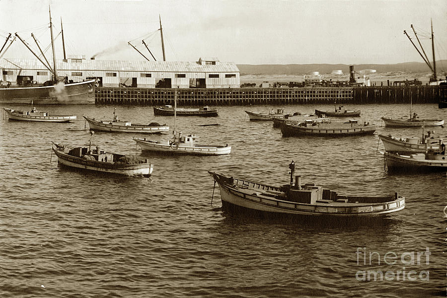 Boat Photograph - The Monterey Lampara fishing fleet moored in Monterey Harbor, Ci by Monterey County Historical Society