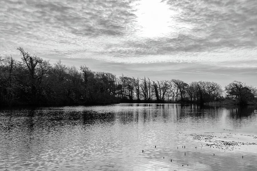 The Moody Lake Photograph by Tanya C Smith
