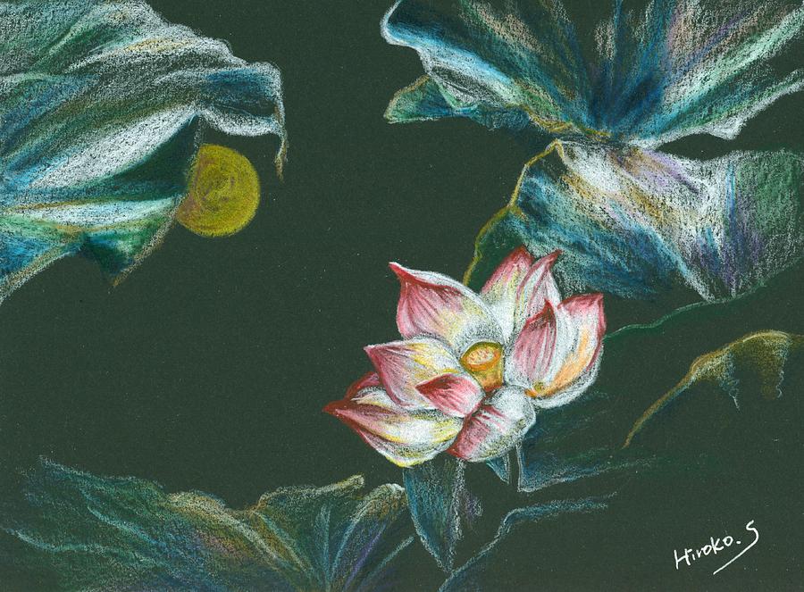 The Moon and Lotus Drawing by Hiroko Stumpf