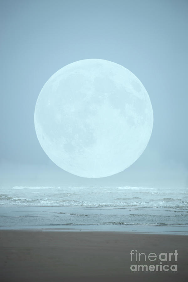 The Moon and the Sea Photograph by David Lichtneker