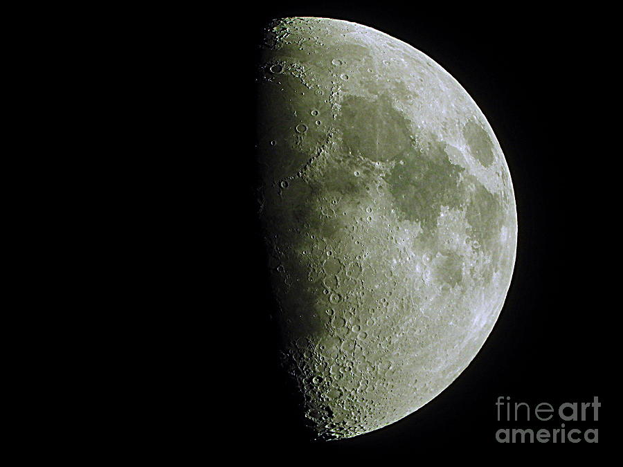 The Moon Photograph by Andy Thompson
