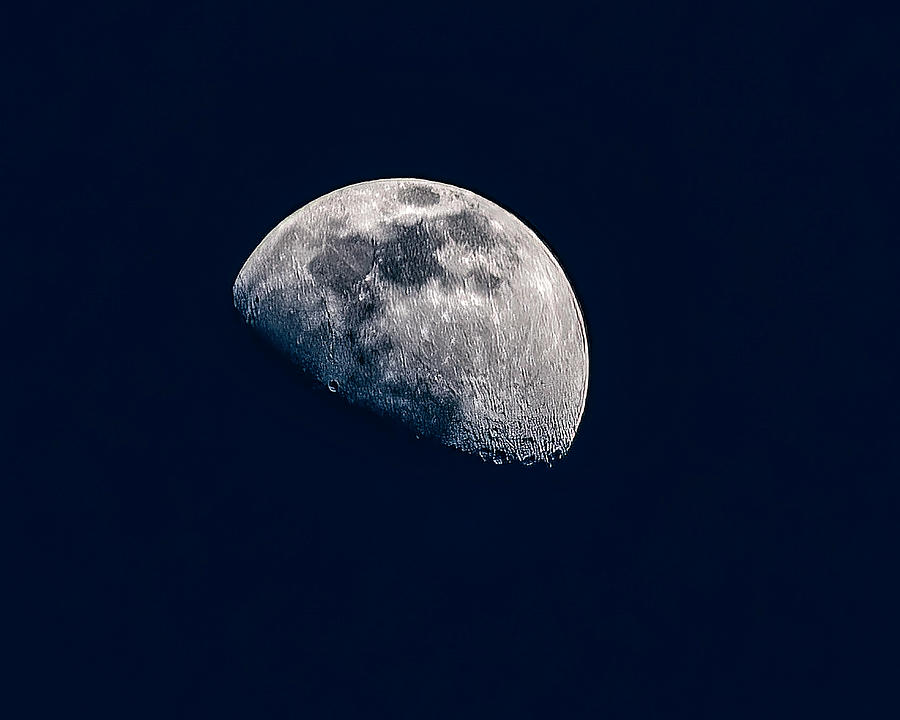 Moon Photograph - The Moon by Flees Photos