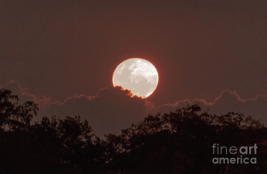 The Moon Rising Photograph by Martin Marthadinata - Fine Art America