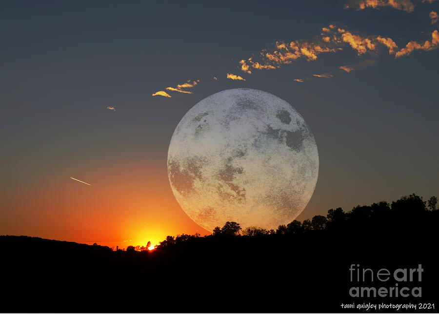 The Moon Takes Its Turn Photograph by Tami Quigley