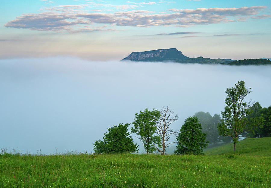 The Morning Spell Photograph By Cosmin Stan Fine Art America