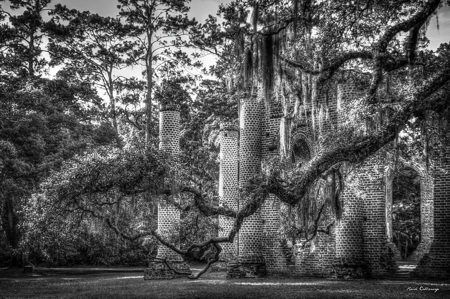 Tree Photograph - The Moss Covered Limb B W Old Sheldon Church Ruins Architectural Landscape Art by Reid Callaway