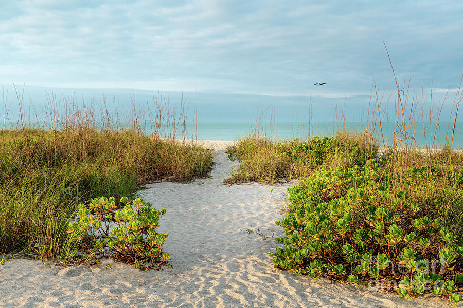 Beach Photograph - The Most Beautiful Morning at the Beach, Florida by Liesl Walsh