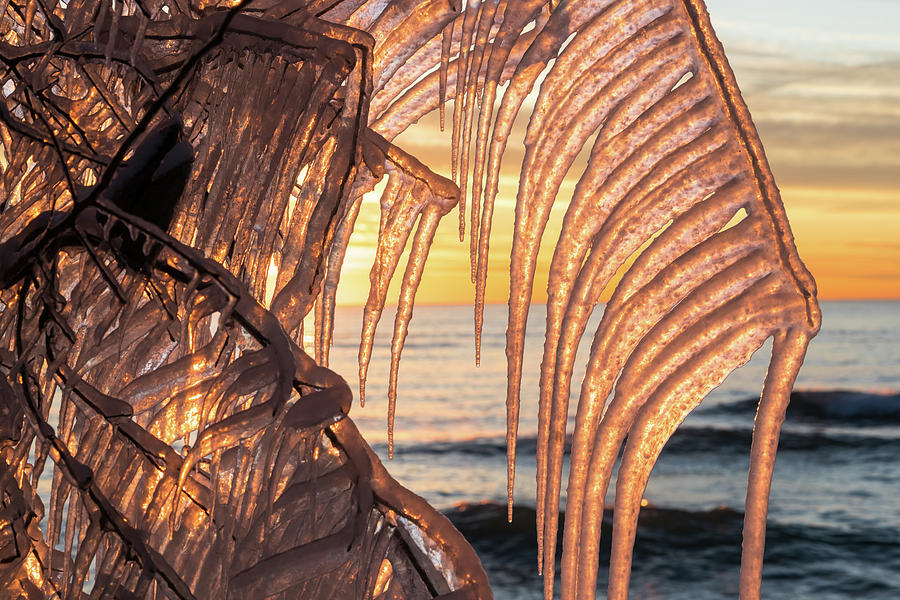 The Most Fantabulous Sun Shutters - Take Two by Georgia Mizuleva The Most Fantabulous Sun Shutters - Take Two by Georgia Mizuleva