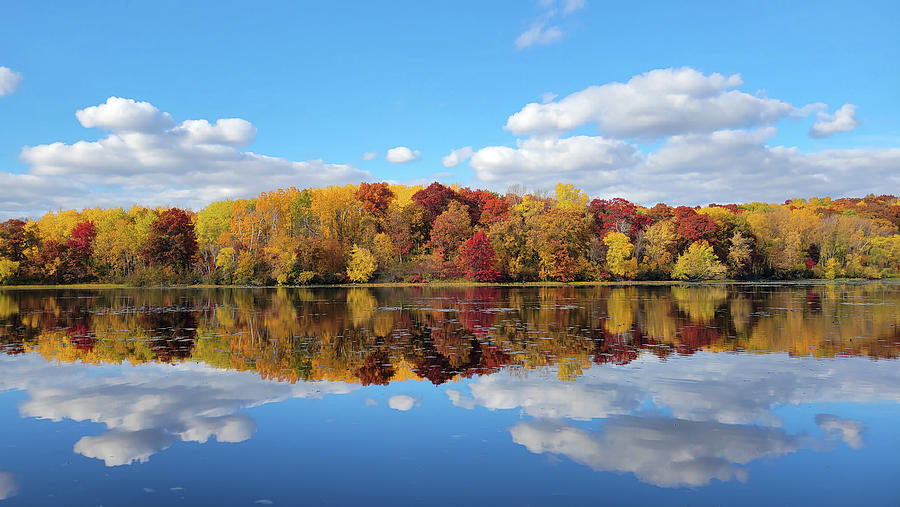 The Most Glorious Autumn Day Perfect Reflection Lebanon Hills Regional Park Eagan Minnesota Photograph by Wayne Moran