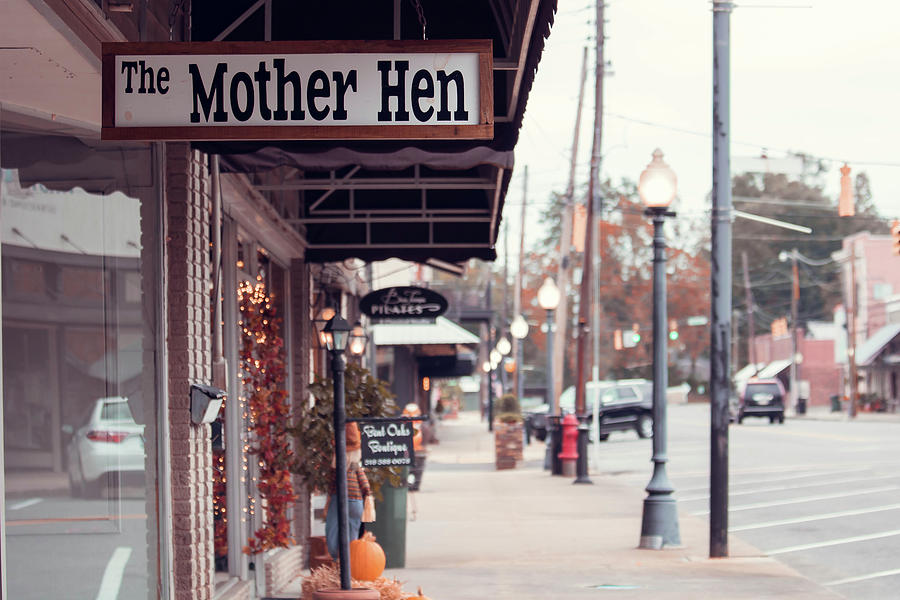 The Mother Hen - Antique Alley Photograph by Ester McGuire