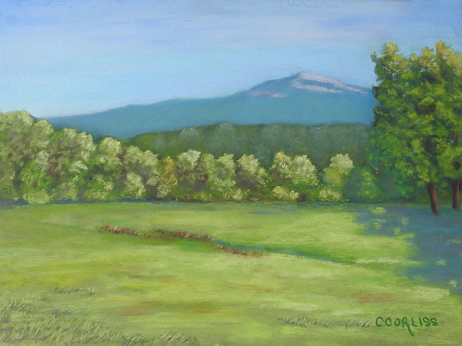 The Mountain That Stands Alone Pastel by Carol Corliss