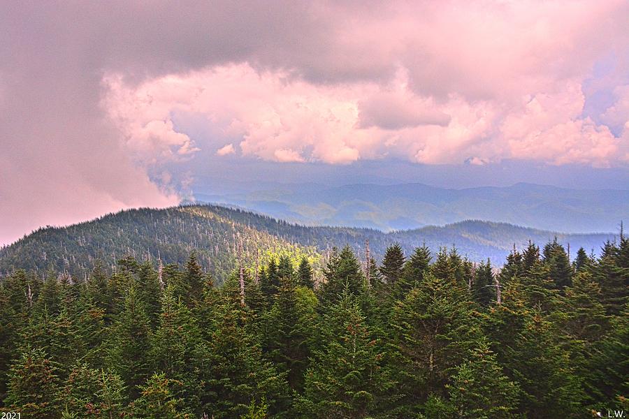 The Mountain View From Clingmans Dome Photograph by Lisa Wooten