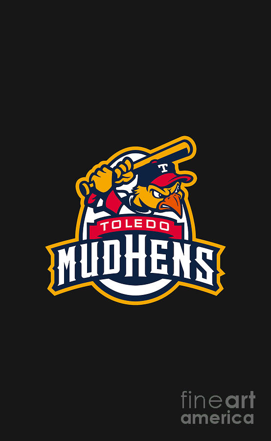 The Mud Hens icon Drawing by Syakila Fiqiyah - Fine Art America