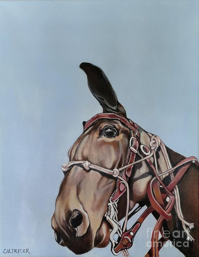 The Mule Painting by Alison Caltrider