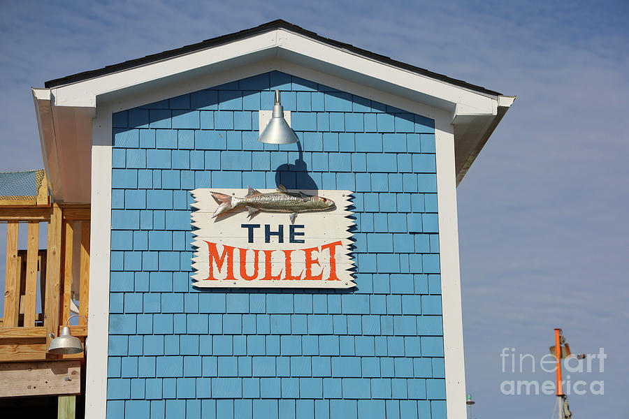 The Mullet Bar Southport NC  6194 Photograph by Jack Schultz