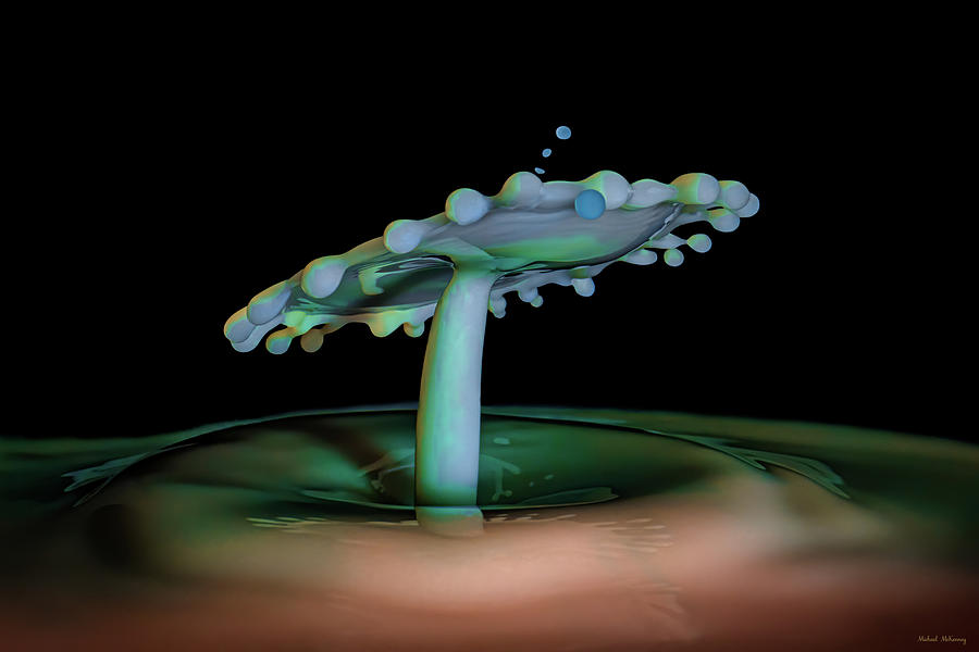 The Mushroom Photograph by Michael McKenney