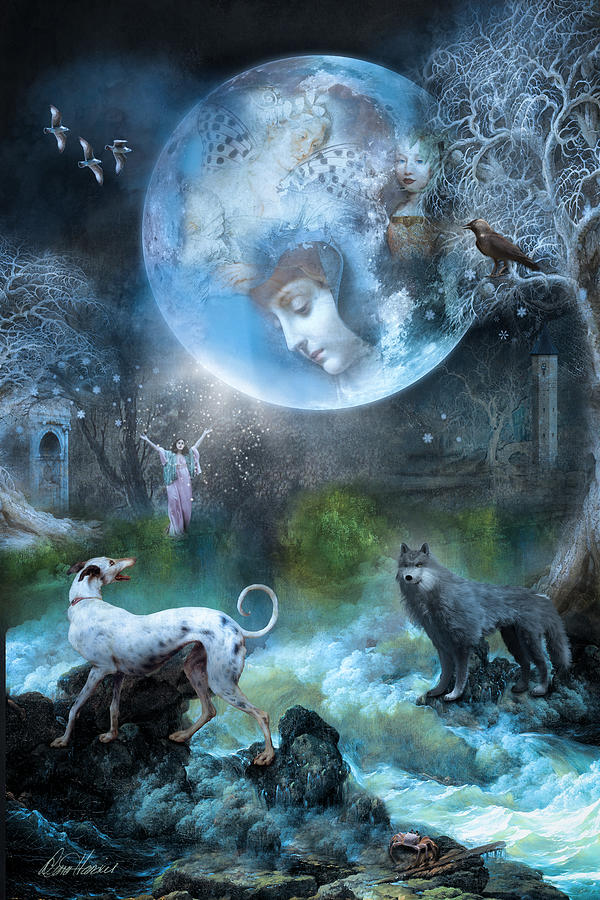 The Mystic Moon Digital Art by Diana Haronis