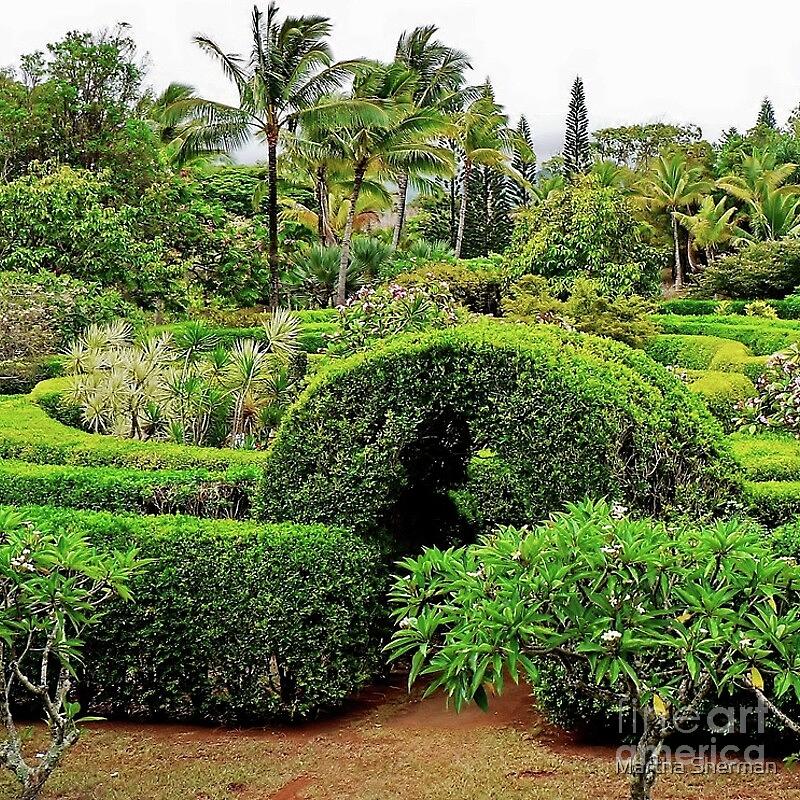 Palm Trees Photograph - The  Na Aina Kai Botanical Gardens Maze by Martha Sherman