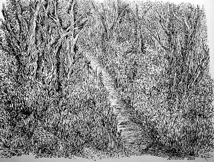 The Narrow Way Drawing by Yvonne Blasy