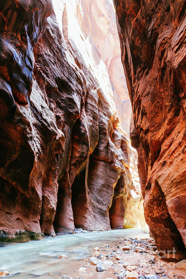 The Narrows, Zion Photograph by Matteo Colombo