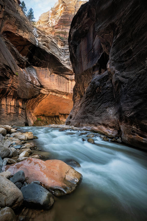 The Narrows, Zion National Park Photograph by Tommy White