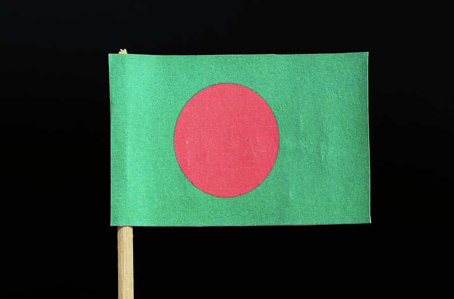 The national flag of Bangladesh on toothpick on black background. A red disc on a green field Photograph by Vaclav Sonnek