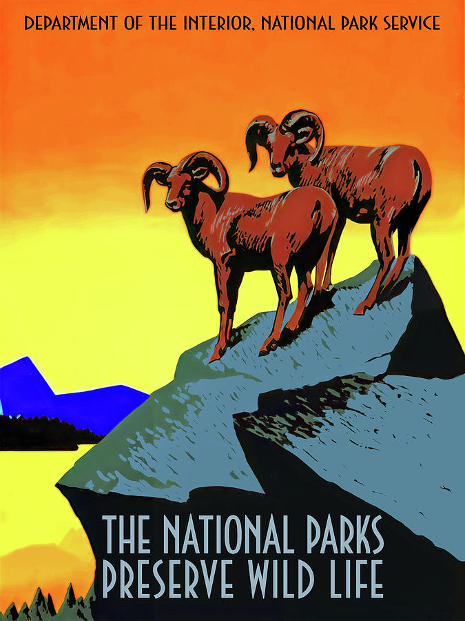 The National Parks Preserve Wild Life Digital Art by Chuck Mountain