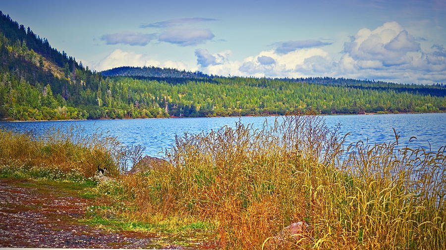 The Natural Beauty Of Upper Klamath Lake by Joyce Dickens The Natural Beauty Of Upper Klamath Lake by Joyce Dickens