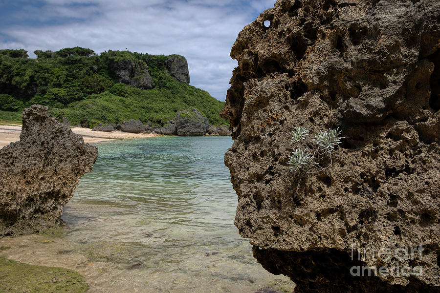 The Natural Wonders of Okinawa Photograph by Rebecca Caroline Photography