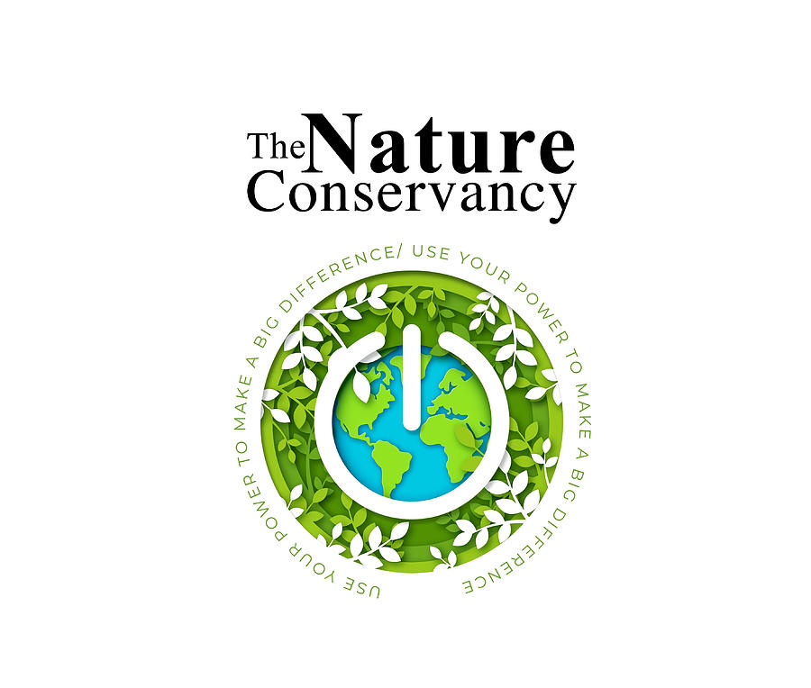 The Nature Conservancy Poster Painting by Edwards Cooper Pixels