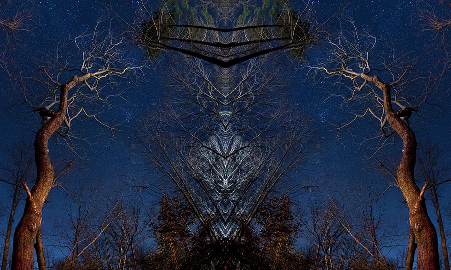 Abstract at Midnight, Kaleidoscope, Hardwoods in the North Carolina Uwharries, Digital Print Photograph by Eric Abernethy
